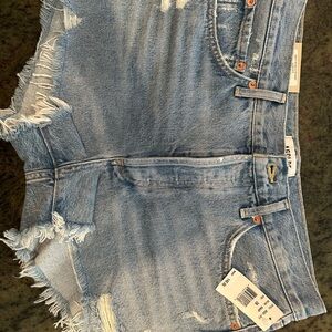 BRAND NEW AGOLDE Parker vintage cut off shorts